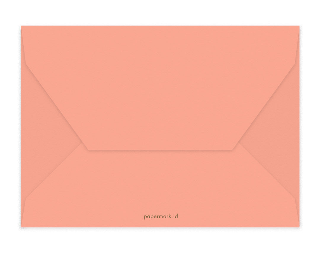 Blank Envelopes Set of 6 C6 Peach