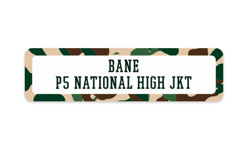 School Label Street Camo