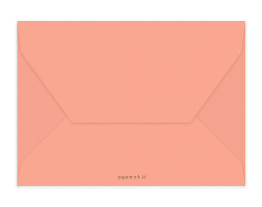 Blank Envelopes Set of 6 C6 Peach