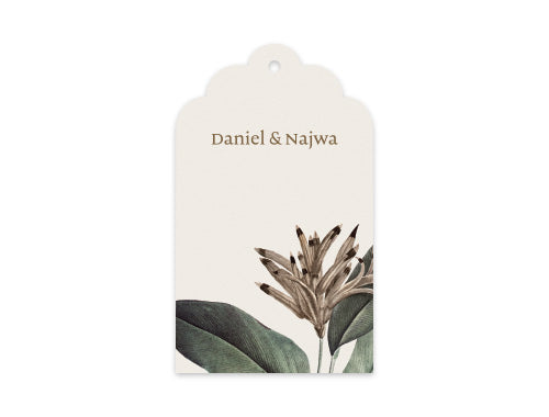 Gift Tag Set of 12 Holiday Plants