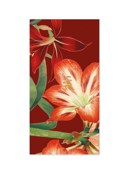 Money Envelopes Set of 12 Aciertia