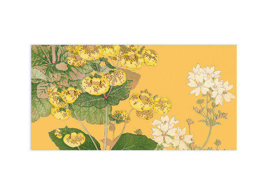 Money Envelopes Set of 12 Amarela