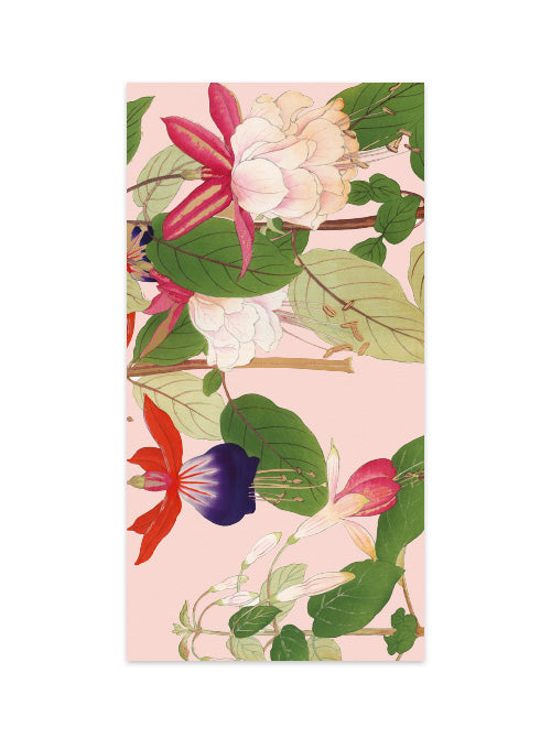 Money Envelopes Set of 12 Rosea