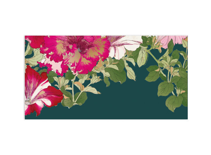 Money Envelopes Set of 12 Verda