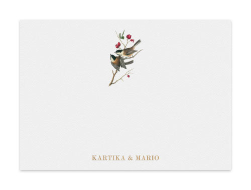 Notecard Set of 6 Audubon