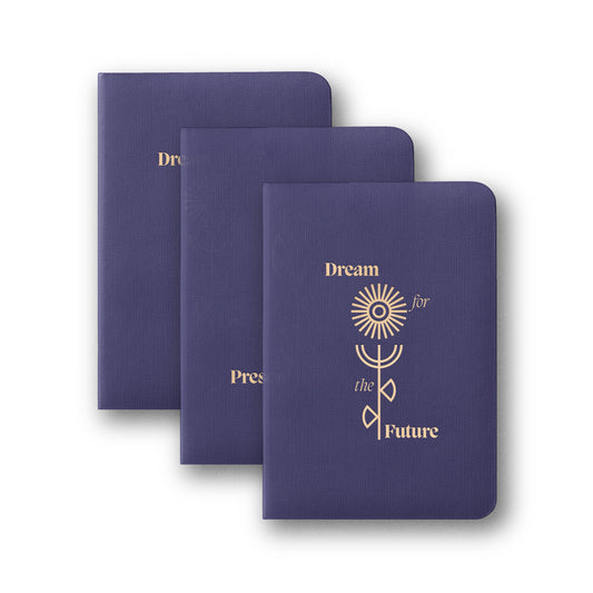 Pocket Notes Set of 3 A6 Lined Aubergine